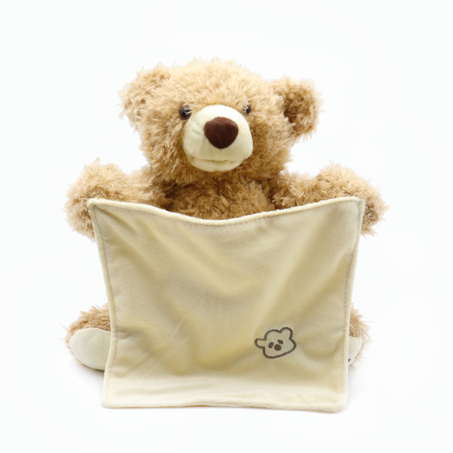 Peek-a-Boo Musical Teddy Bear