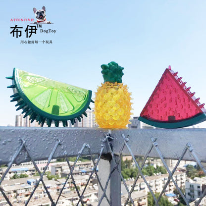 Amazon sound dog toy tpr pet toy rubber chew resistant toy fruit toy frozen factory stock